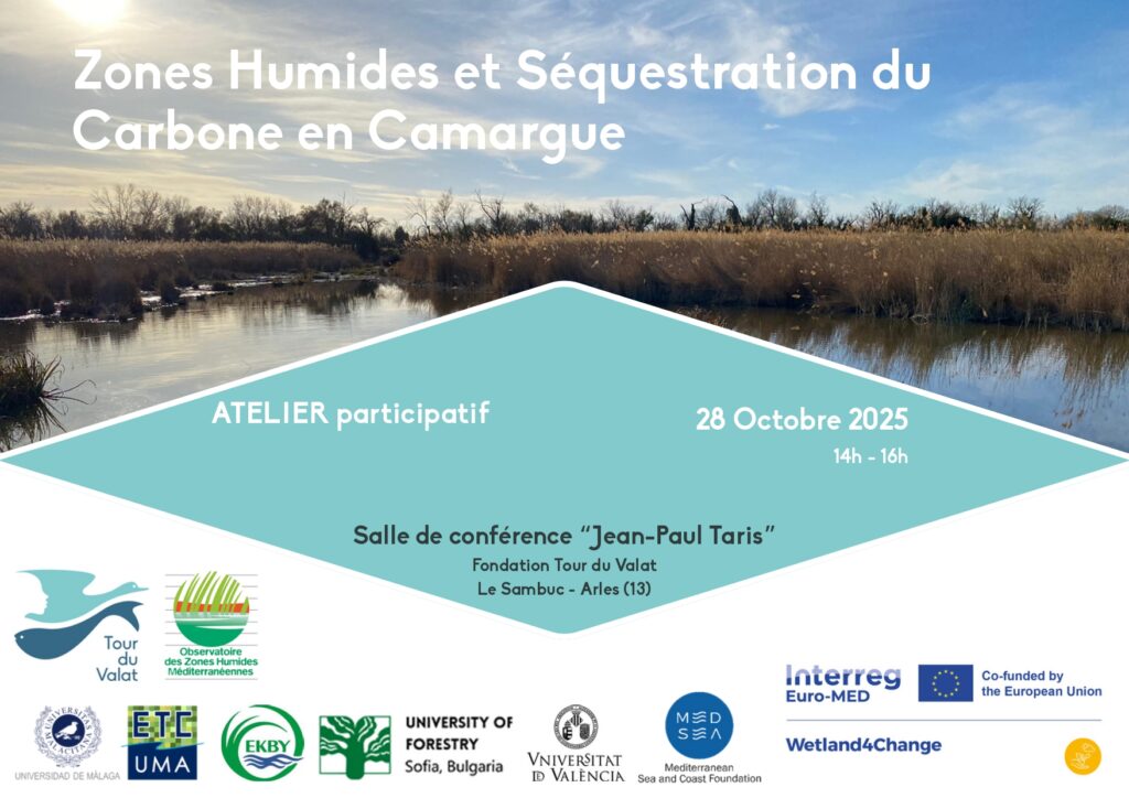 Zones Humides et Séquestration du Carbone en Camargue – Local Event Wetland4Change