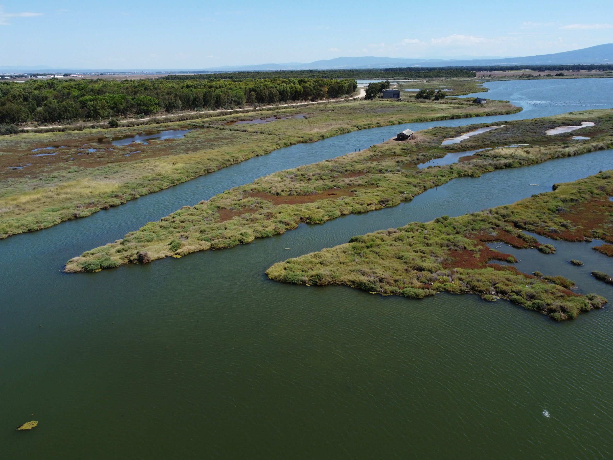 Wetland over Sardinia Wetland4Change