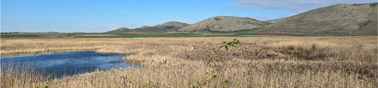 View Over Bulgarian Wetlands | Wetlands Based Solutions for Climate Change