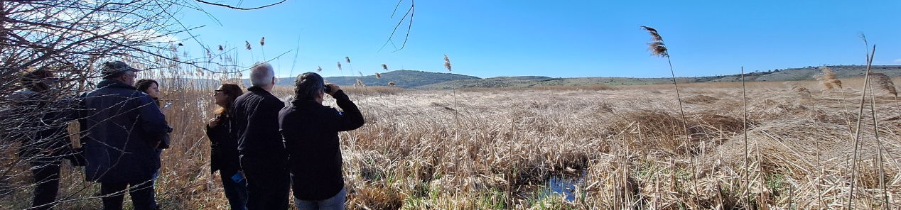 People observing wetlands in Bulgaria | Wetland4Change Wetlands Solutions for Climate Change