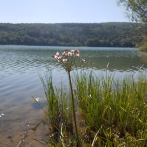 Wetland at the river Catchment Struma Bulgaria - Struma Wetlands Climate Adaptation