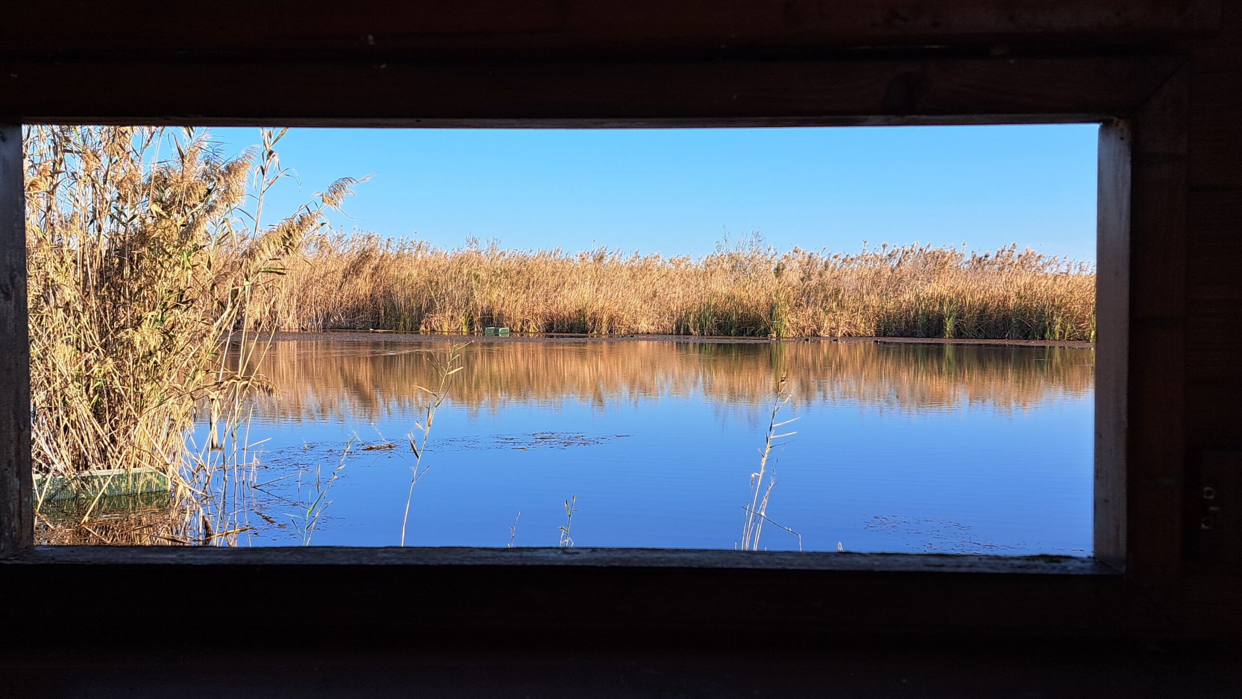 W4C Albufera