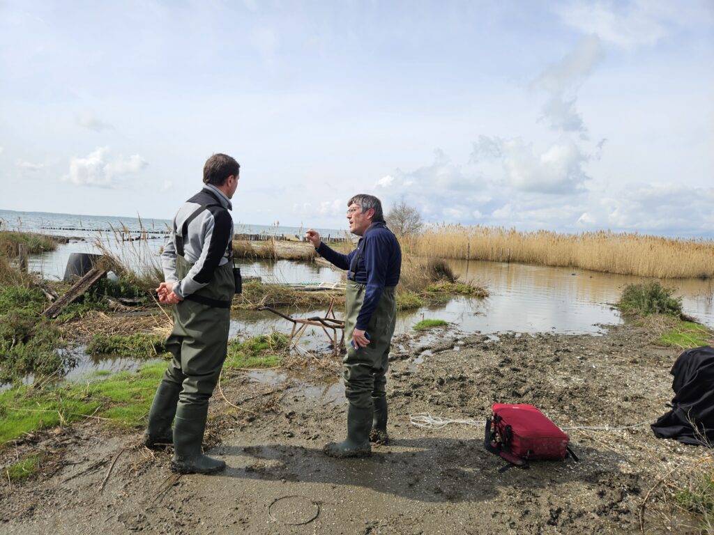 Wetland4Change Carbon assessment in Camargue, France