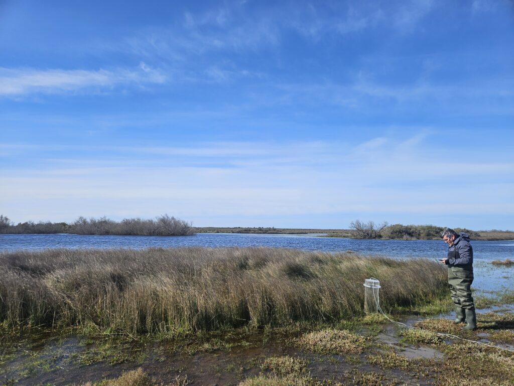Wetland4Change Carbon assessment in Camargue, France