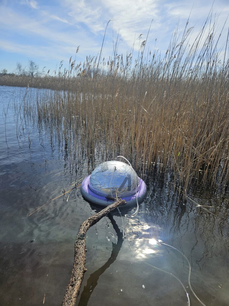 Wetland4Change Carbon assessment in Camargue, France