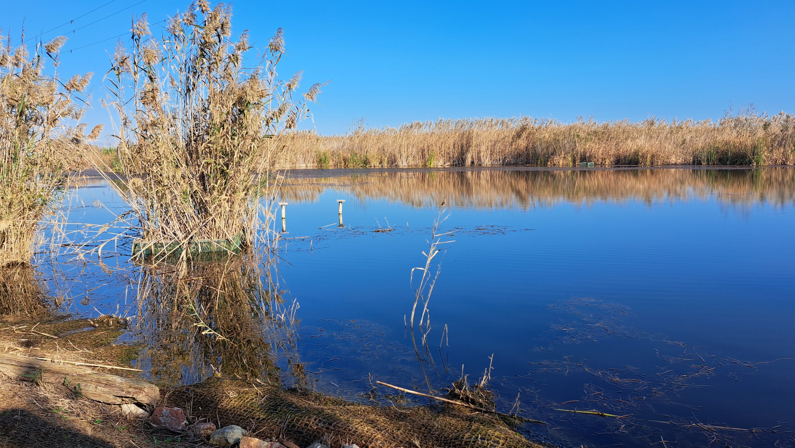 Albufera Natural Park - Valencia