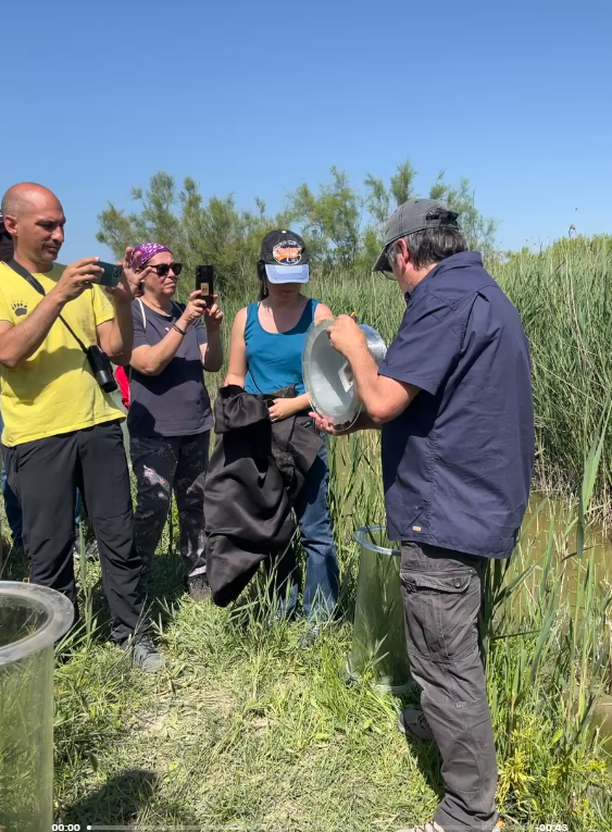 w4c Carlos Rochera in field