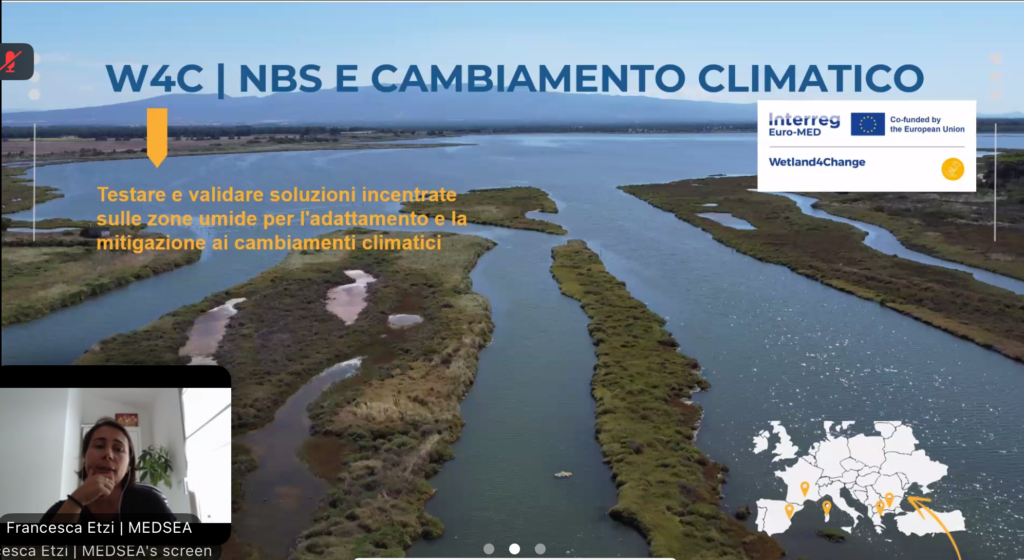 Wetland4Change at the 7th webinar of the Coastal Wetlands and Saline Lakes event