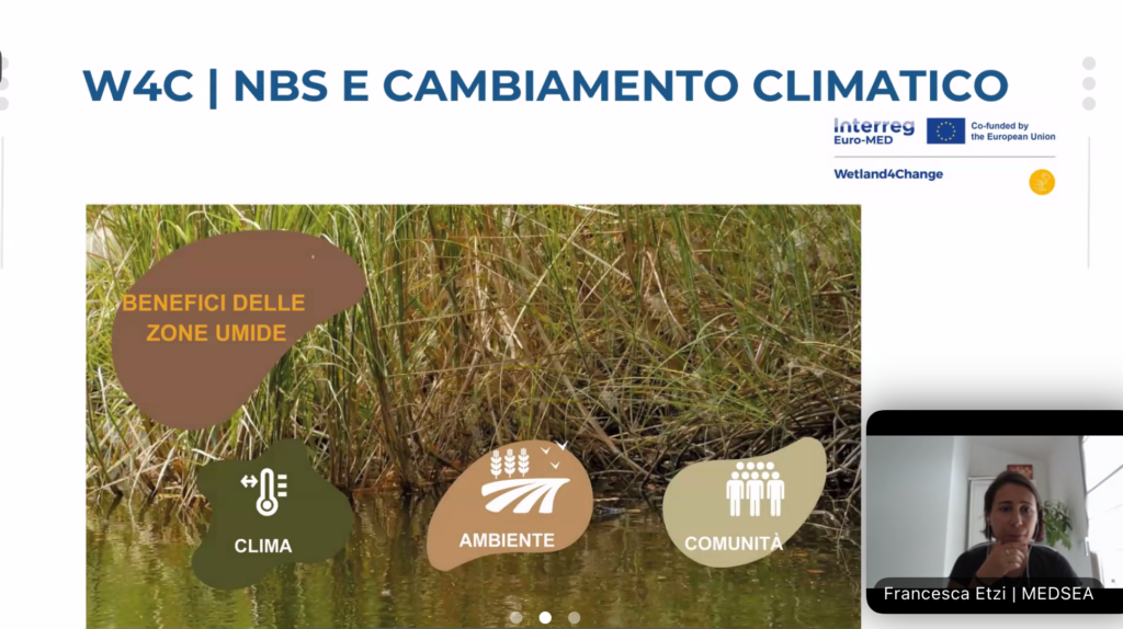Wetland4Change at the 7th webinar of the Coastal Wetlands and Saline Lakes event
