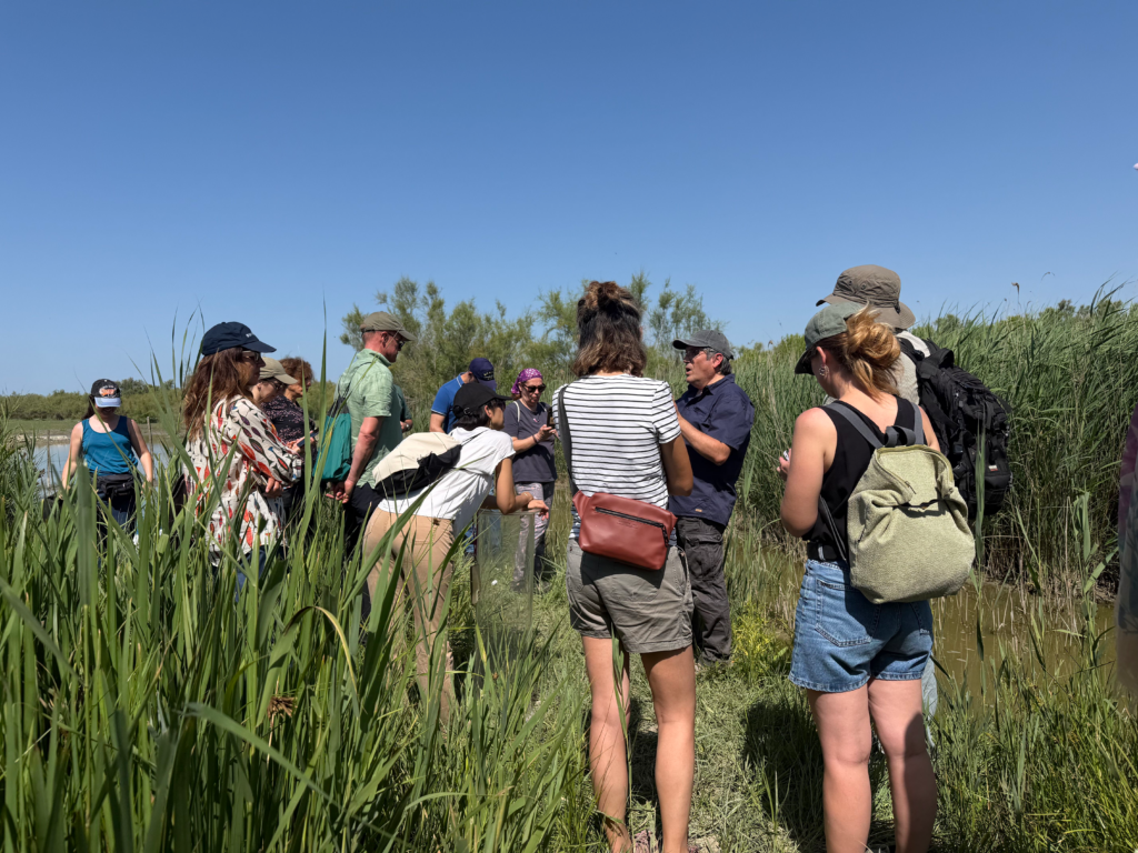 Wetland4change living lab Camargue June 226