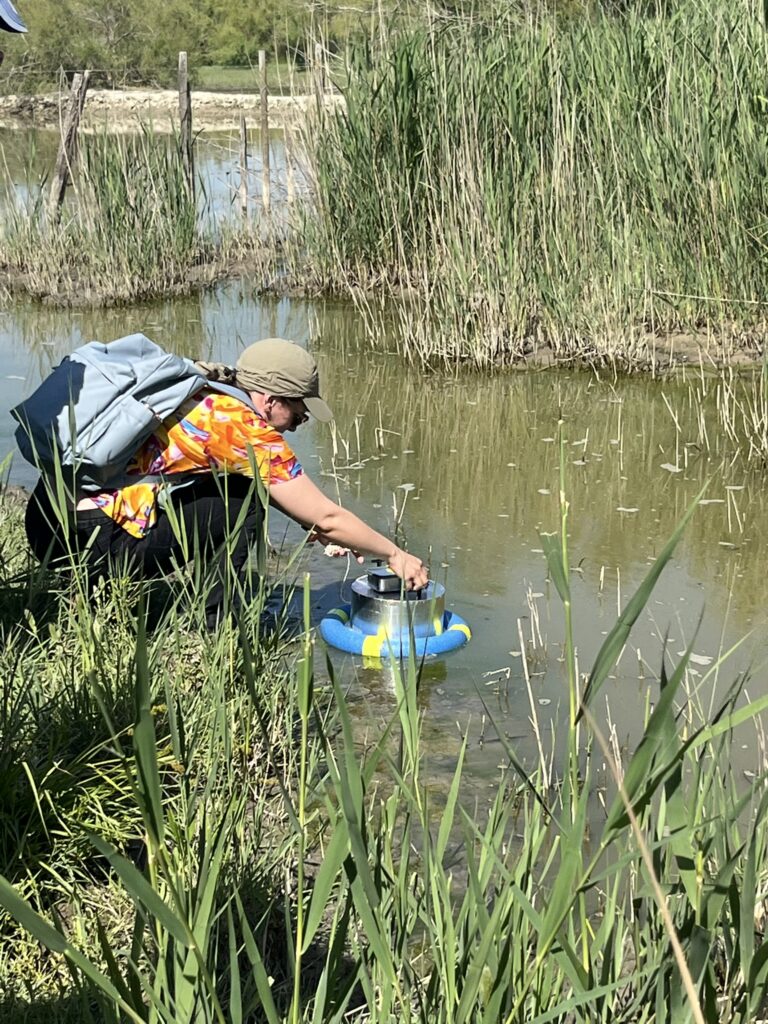 Wetland4change living lab Camargue June 226