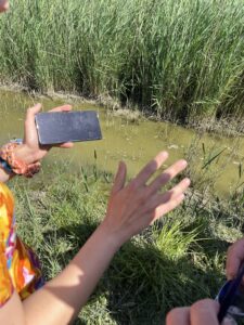 Wetland4change living lab Camargue June 226