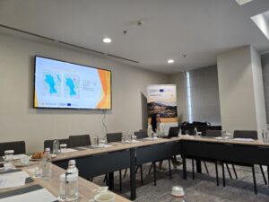 Woman speaking in a conference - Stanimiraa Ivanova - University of Forestry - Sofia Bulgaria Wetland4Change