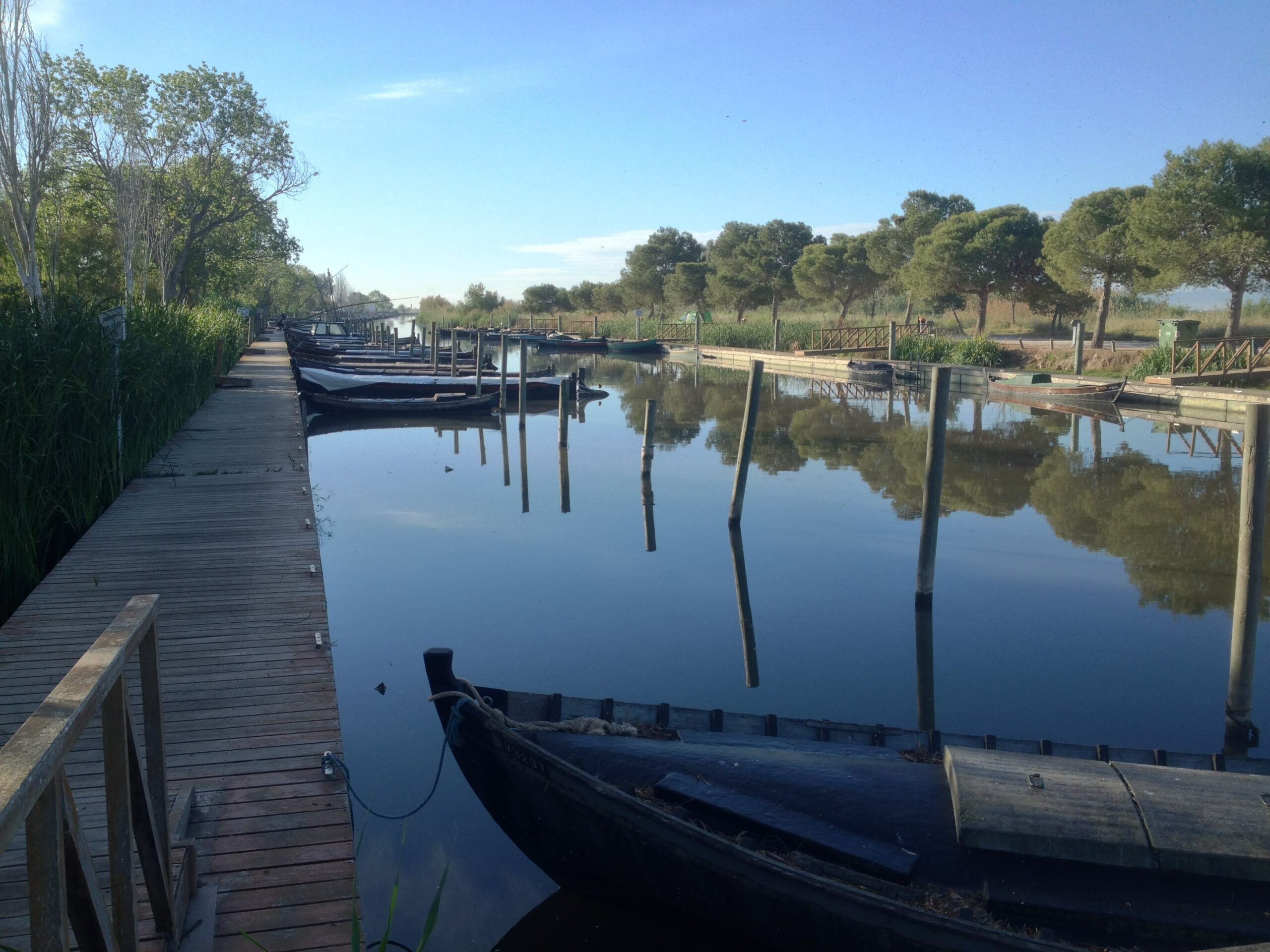 Wetland4Change | Albufera pilot site