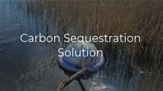 Carbon sequestration solution