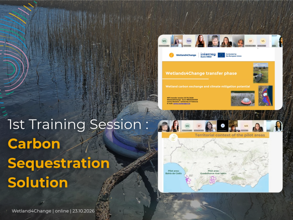 w4c first training session