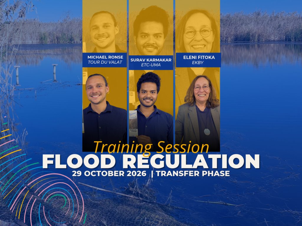 Wetland4Change training session flood regulation