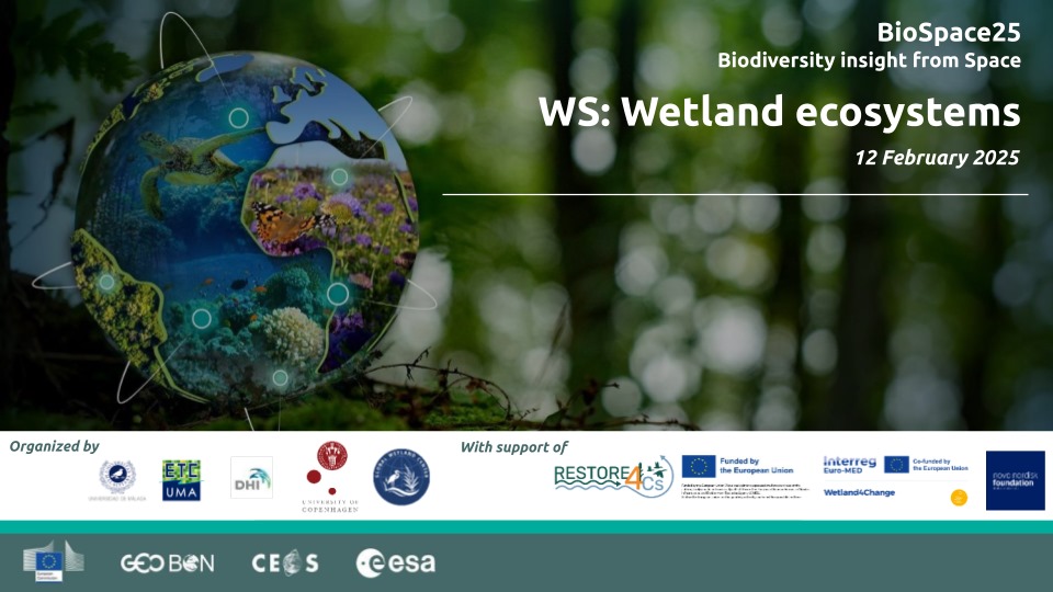 Wetland4Change at the Biospace25 Conference– Wetland workshop 13 February 2025 – Frascati | Italy